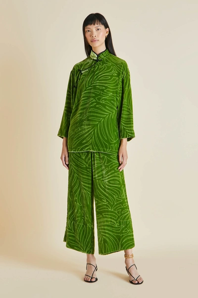 Olivia Von Halle Harlow Odda Silk Velvet Devoré Pyjama Set In Green
