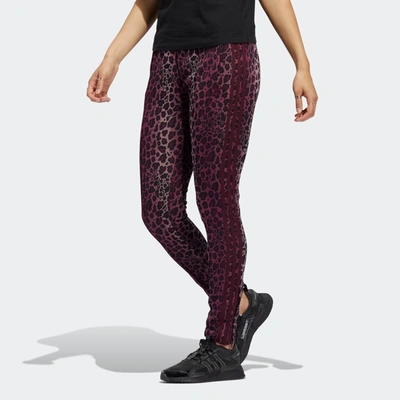 adidas gazelle silver green womens Adidas 3-Stripes Leggings  DTLR
