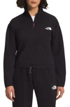 The North Face Tnf™ Tech Pullover In Tnf Black