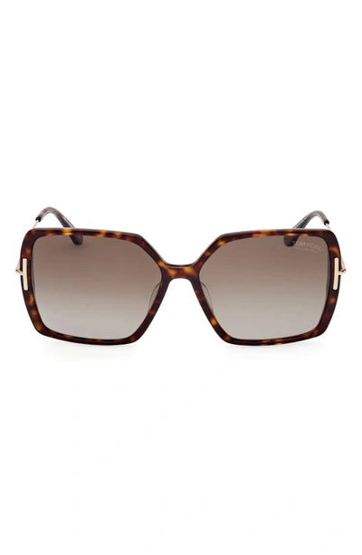 Tom Ford 59mm Polarized Butterfly Sunglasses In Dark Havana / Brown Polarized