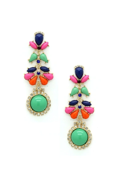 Eye Candy La Tropiic Earrings In Multi
