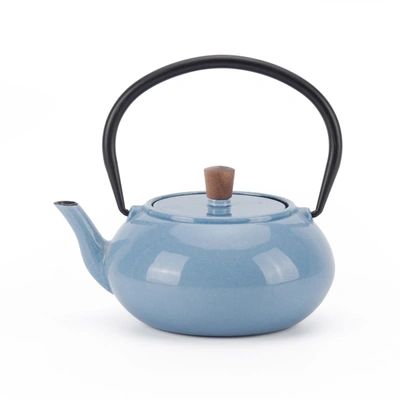 Minimal Enameled Cast Iron Teapot - Classic In Multi