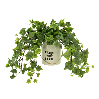 Creative Displays Ivy Arrangement In A Ceramic Pot In Green