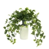 CREATIVE DISPLAYS Creative Displays Ivy Arrangement in a Tall Ceramic Vase