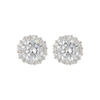 Adornia Crystal Studs In Silver