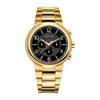 Philip Stein Active Large - Model 32-agbg-gss In Black