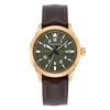 Philip Stein Skyfinder - Model 700bz-pltgrn-cprbr In Brown
