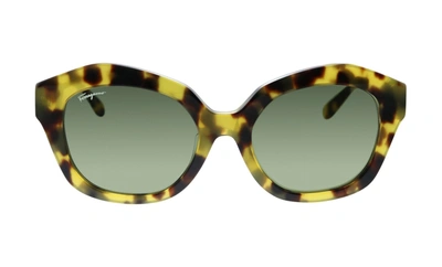 Ferragamo Salvatore  Sf868sa 215 Rectangle Sunglasses In Green