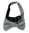 GUCCI Gucci Men's Habutai Print Silk Bow Tie