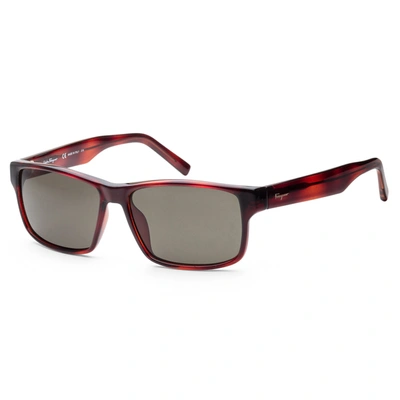 Ferragamo Women's Fashion 58mm Sunglasses In Red
