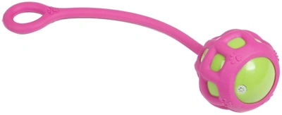Pet Life Tug O Warp Fetching Tugging And Chew Sq In Pink