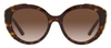 Prada Pr 01ys Acetate Square Sunglasses In Brown