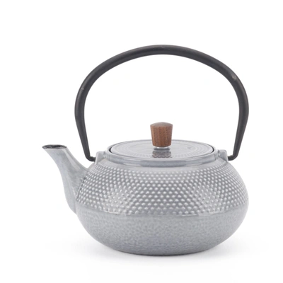 Minimal Enameled Cast Iron Teapot - Line In Multi