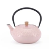 Minimal Enameled Cast Iron Teapot - Classic In Multi