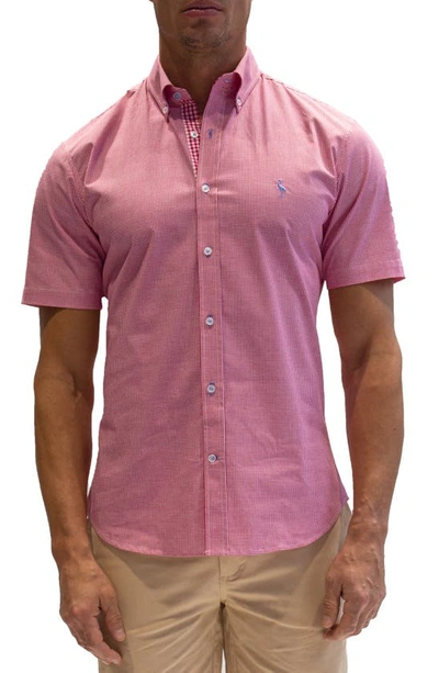 Tailorbyrd Microprint Short Sleeve Stretch Cotton Button-down Shirt In Fuchsia