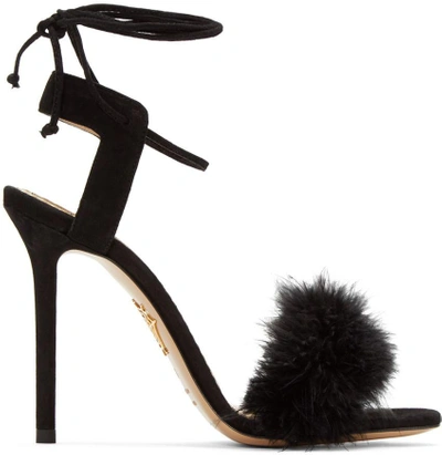 Charlotte Olympia Salsa Feather-embellished Suede Sandals In Black