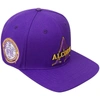 Pro Standard Purple Alcorn State Braves Evergreen Primary Logo Snapback Hat In Purple