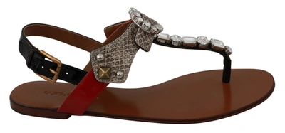 Dolce & Gabbana Leather Ayers Crystal Sandals Flip Flops Shoes In Brown