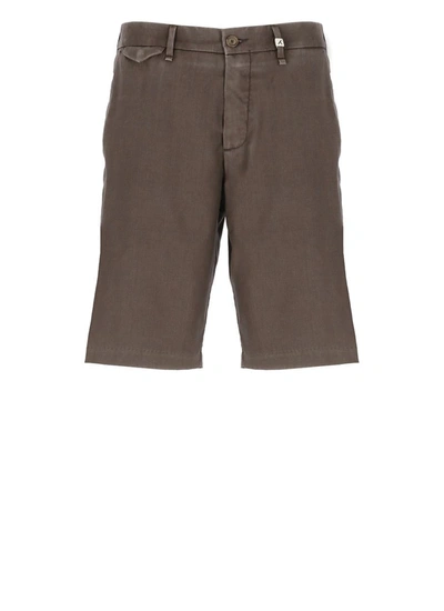 Myths Shorts In Brown