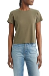 Ag Sadie Crop Rib T-shirt In Shady Moss