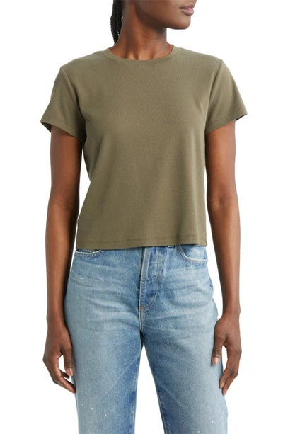 Ag Sadie Crop Rib T-shirt In Shady Moss