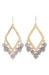 Saachi Gold Earrings In Charcoal
