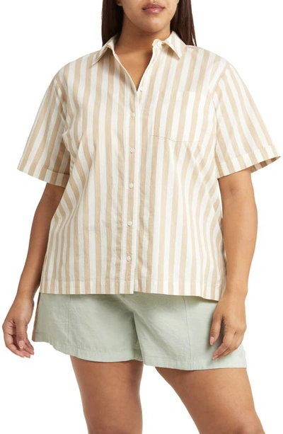 Madewell Signature Oversize Short Sleeve Cotton Poplin Button-up Shirt In Seed Khaki