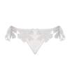AG Seraphina Lace Briefs