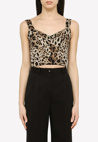 Dolce & Gabbana Animalier Short Corset In Brown