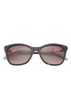 Ted Baker Full Rim Cat Eye Sunglasses In Tortoise