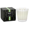 NEST COCONUT AND PALM CANDLE