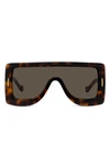 Loewe Brown Paula's Ibiza Dive In Mask Sunglasses In Dark Havana / Brown
