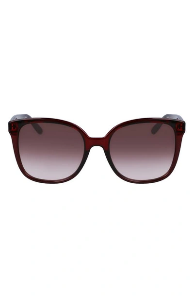 Ferragamo 56mm Square Sunglasses In Crystal Burgundy