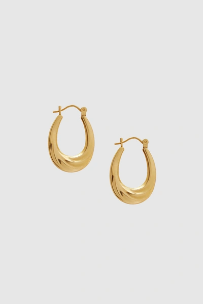 Anine Bing Chunky Oval Hoop Earrings In 14k Gold In 14k Yellow Gold
