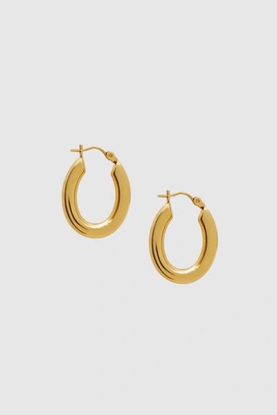 Anine Bing Small Tubular Oval Hoop Earrings In 14k Gold In 14k Yellow Gold