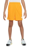 Nike Multi Big Kids' (boys') Dri-fit Graphic Training Shorts In Orange