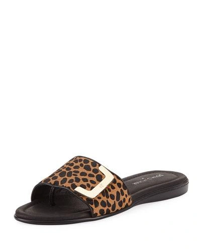 Donald J Pliner Bolt Leopard Slide Sandal, Black/brown