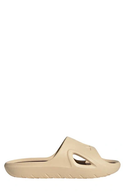 Adidas Originals Adicane Slide Sandal In Neutrals