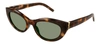 Saint Laurent Sl M115 Linea Monogram 003 Havana Green Sunglasses In Brown