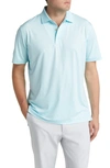 PETER MILLAR DAZED AND TRANSFUSED PERFORMANCE JERSEY POLO