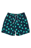 Snapper Rock Kids' Coco Loco Volley Board Shorts In Navy