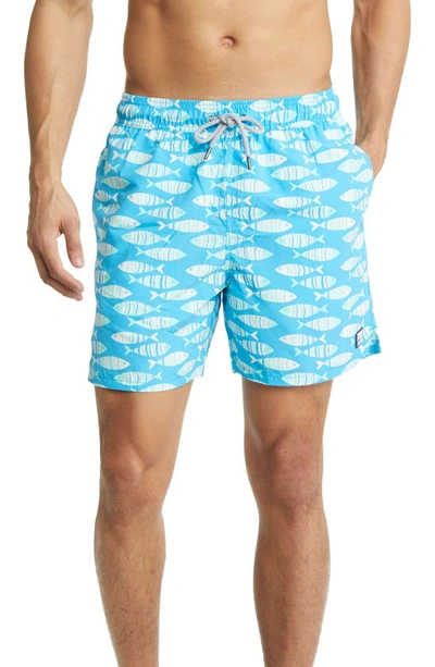 Tom & Teddy Fish Print Swim Trunks In Striped Blue