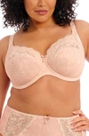 Elomi Molly Full Figure Underwire Nursing Bra In Cameo Rose