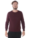 Daniele Alessandrini Sweater In Burgundy