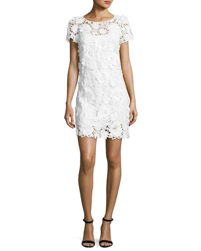 Milly Chloe Short-sleeve 3d Floral-embroidered Lace Dress