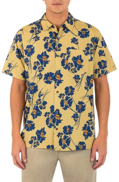 Hurley Men's Rincon Print Short Sleeve Button-up Shirt In Pebble