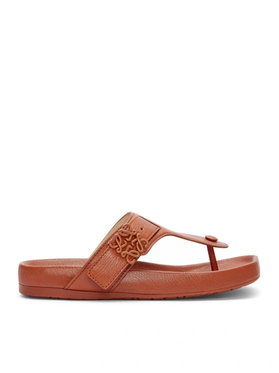 Loewe Leather Medallion Comfort Thong Sandals In Brown