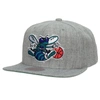 Mitchell & Ness Men's  Heather Gray Charlotte Hornets Hardwood Classics 2.0 Snapback Hat In Heather Gray