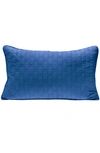 BEDVOYAGE BEDVOYAGE QUILTED THROW PILLOW