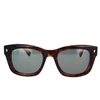 Dsquared2 Sunglasses In Havana